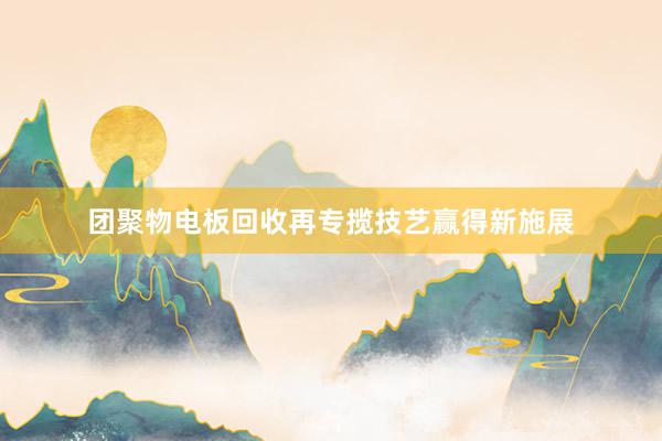 团聚物电板回收再专揽技艺赢得新施展