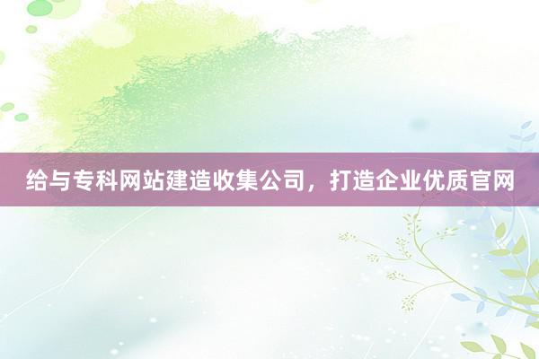 给与专科网站建造收集公司，打造企业优质官网