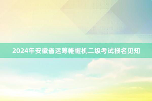2024年安徽省运筹帷幄机二级考试报名见知